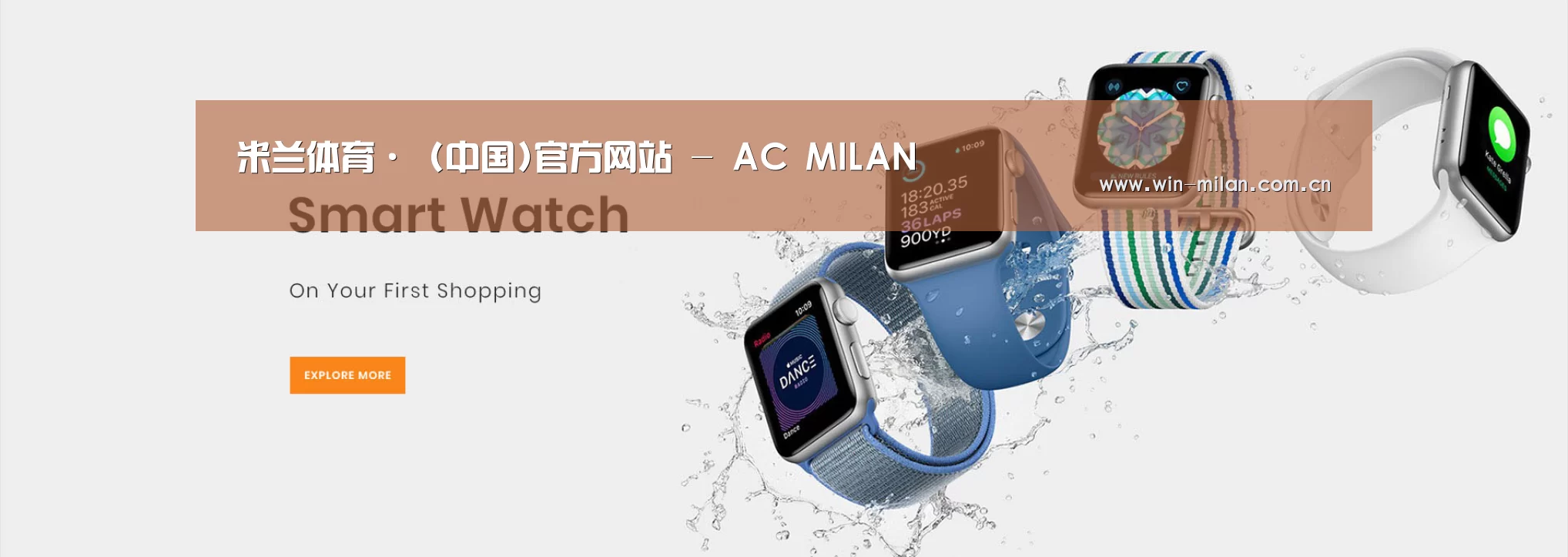 某某网络科技有限公司